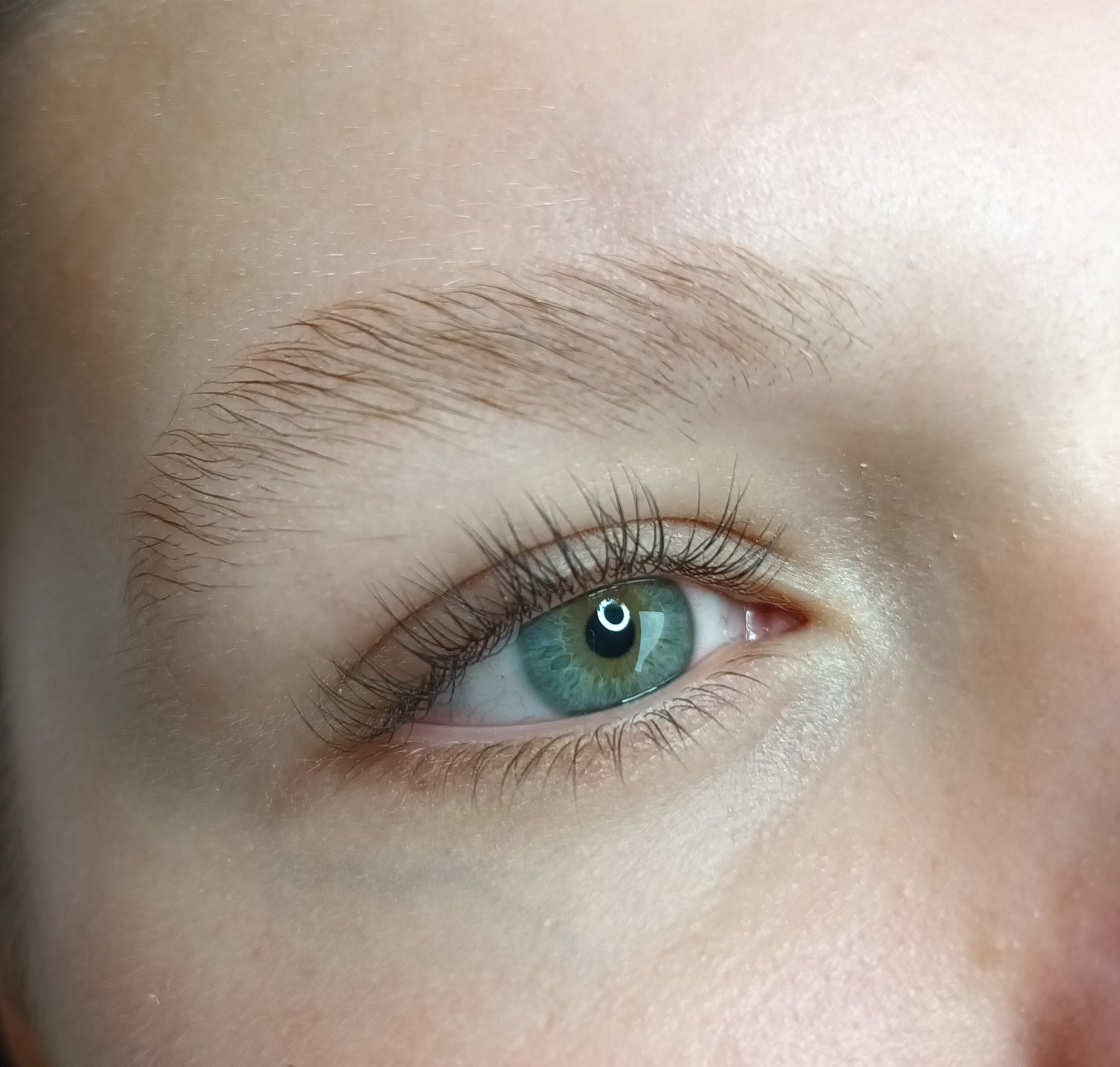 Lashlift incl. verven, browlift ex. verven en epileren